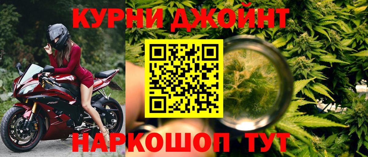 Канабис сатива Великий Устюг